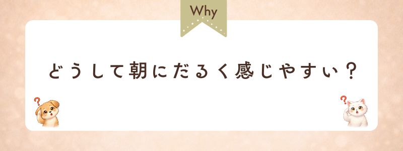 どうして朝にだるくかんじやすい?
