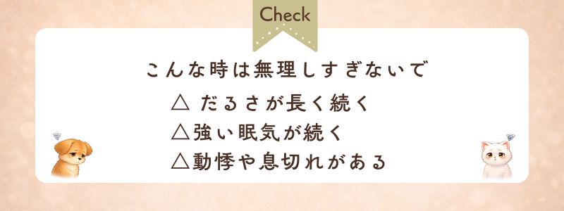 朝の無理しないポイント